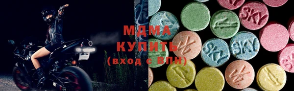 шишки Белокуриха