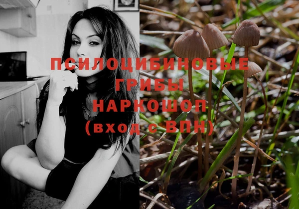 шишки Белокуриха