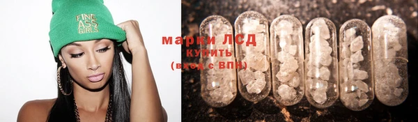 гидра Володарск