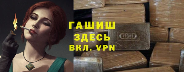 шишки Белокуриха