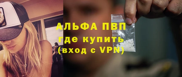 гидра Володарск