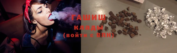шишки Белокуриха