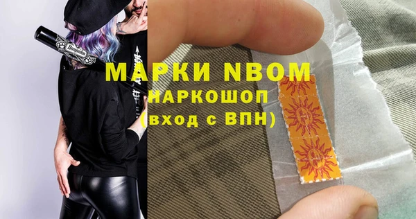 шишки Белокуриха