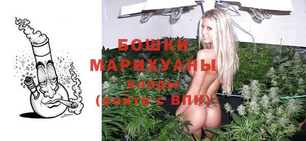 гидра Володарск